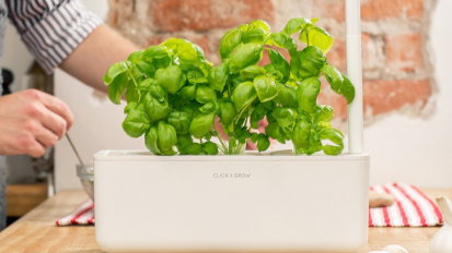 An indoor herb garden from Click and Grow.