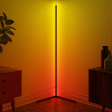 LED corner floor lamp