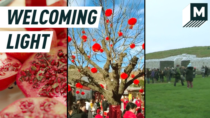 split screen shows tree images: a close-up of pomegranates; red lanterns hung on a tree in China, and people gathered outside an ancient monolith in Ireland. Caption reads: "Welcoming light."