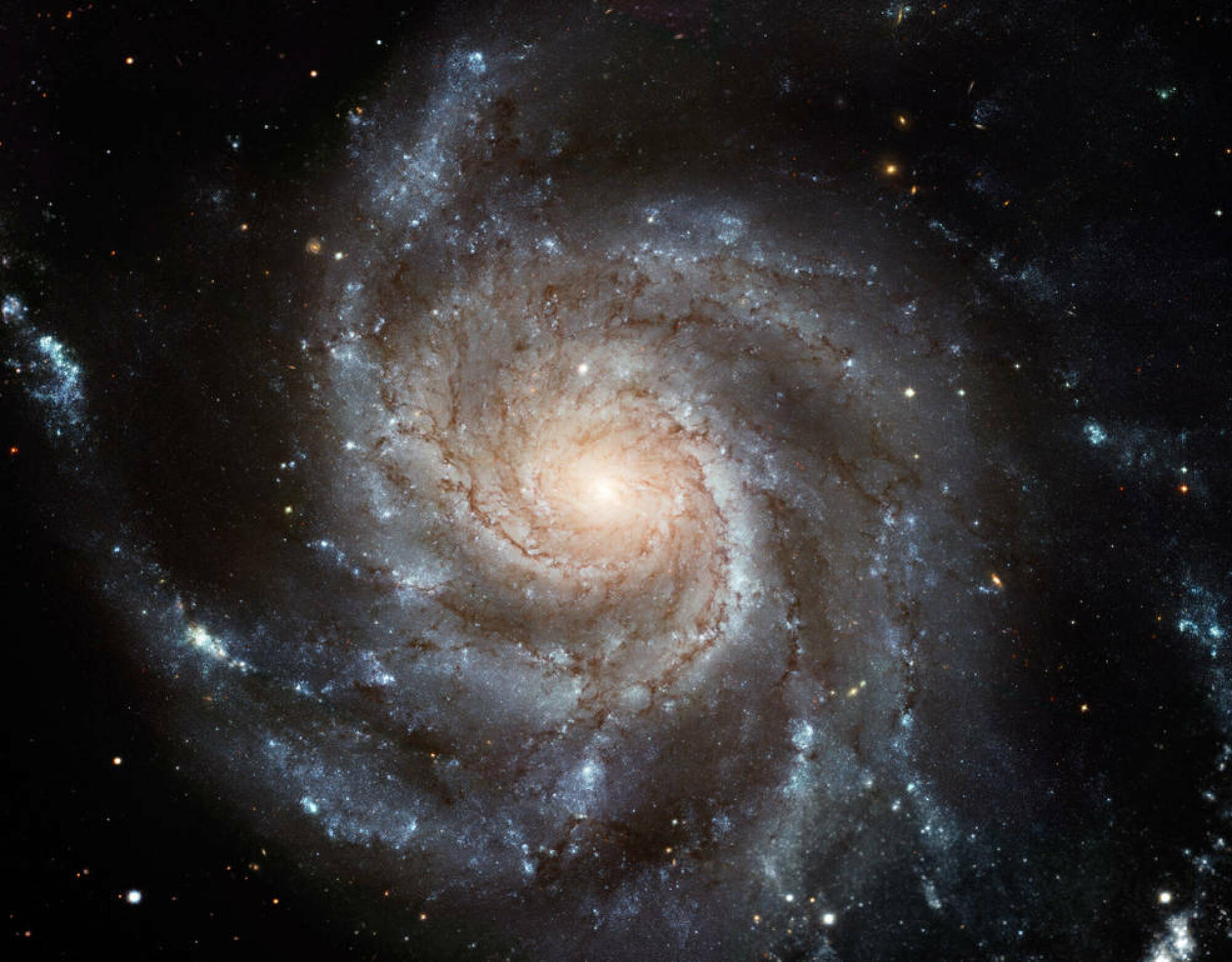 The majestic Pinwheel galaxy as seen by the Hubble Space Telescope. 