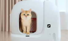 A cat standing in the doorway of the Petkit PuraX Self-Cleaning Cat Litter Box