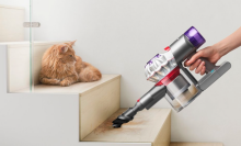 Cat looking at a hand use a Dyson V7 vacuum cleaning up some stairs