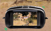 digital night vision binoculars capturing antelope