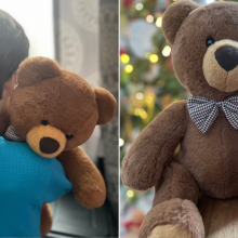 little boy hugging a teddy bear / teddy bear in front of a christmas tree