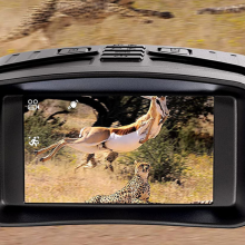 digital night vision binoculars capturing antelope