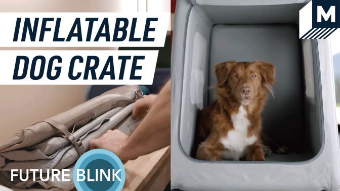 Inflatable Dog Crate
