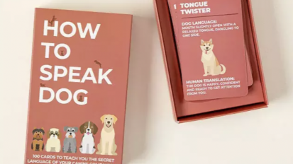 how to speak dog card set on a beige background