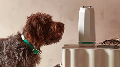 dog looking at white air purifier on table